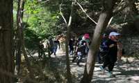 دومین کوه پیمایی کارکنان دانشگاه علوم پزشکی مجازی