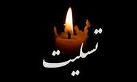 پیام دکتر استاد به مناسبت  درگذشت والده مکرمه وزیر بهداشت