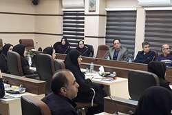 برگزاری اولین جلسه ارزیابی کمی و کیفی محتواهای آموزشی برنامه پودمانی مجازی تربیت پزشک خانواده